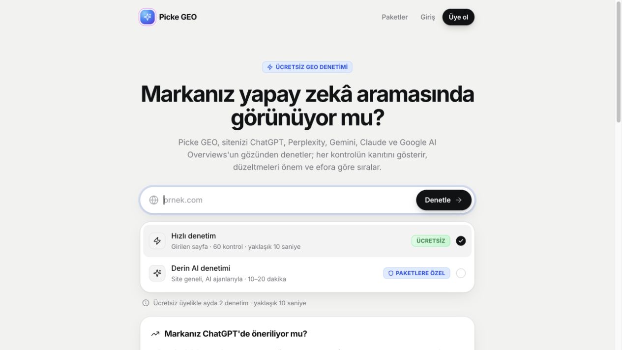 Picke GEO sitesindeki denetim başlangıç ekranı: web sitesi adresi, hızlı denetim ve derin AI denetimi seçenekleri.